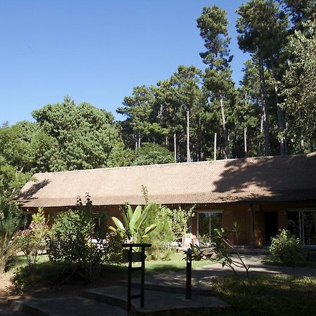 איבאטו Hotel Lodge Au Bois Vert Antananarivo International Airport מראה חיצוני תמונה